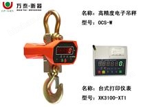 OCS-W型高精度電子吊秤+臺(tái)式儀表