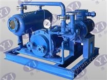 2BW水環(huán)式真空泵閉路系統(tǒng)