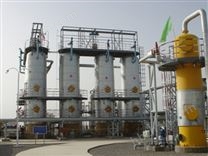 【圣潔環(huán)?！繌U水沼氣處理 沼氣脫硫
