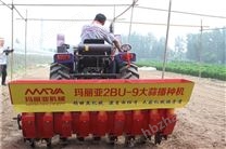 2BU-9大蒜播種機(jī)