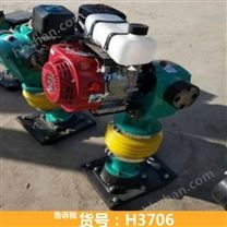 電動(dòng)振蕩打夯機(jī) 電動(dòng)地基打夯機(jī) 新型電動(dòng)打夯機(jī)貨號(hào)H3706