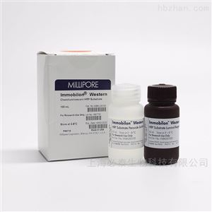 WBKLS0100MerckMillipore西方化学发光HRP底物试剂