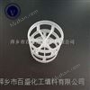 萍鄉(xiāng)百盛塑料填料 塑料鮑爾環(huán)生產(chǎn)廠(chǎng)家